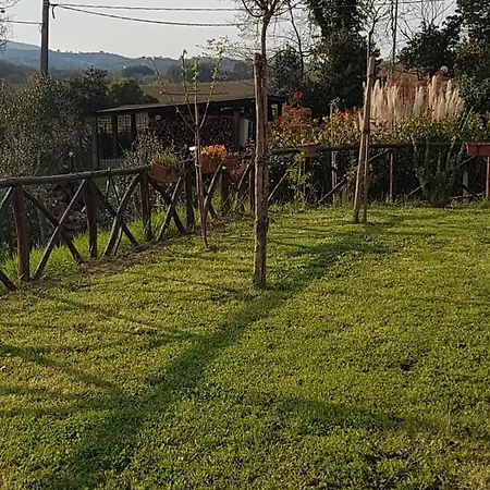 La Casetta Di Lilly Bed & Breakfast Amelia